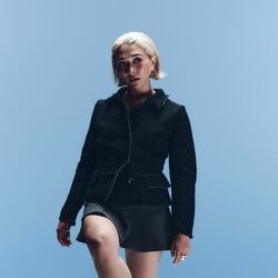 Picture of Miso Extra