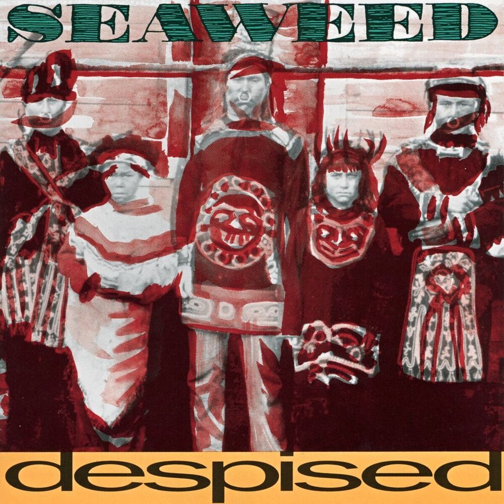 Picture of Seaweed