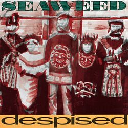 Picture of Seaweed