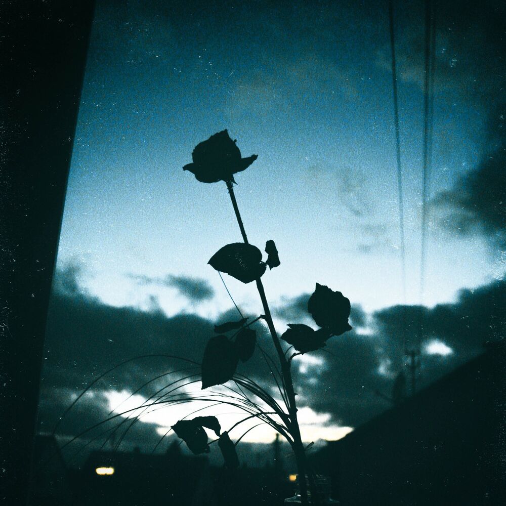 Picture of Mood.