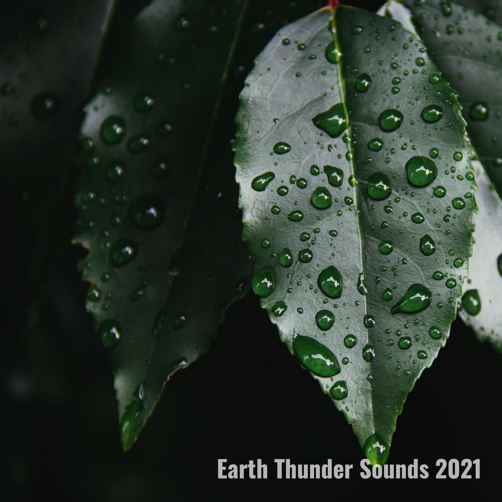 Picture of Earth Thunder Sounds 2021