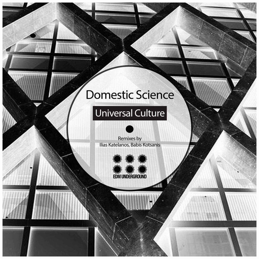 Picture of Domestic Science