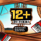 Gaviões do Forró