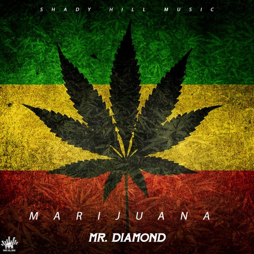 Picture of Mr. Diamond