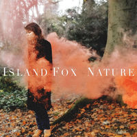 Island Fox