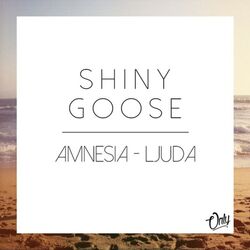 Picture of Shiny Goose