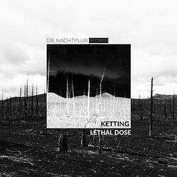 Picture of Ketting