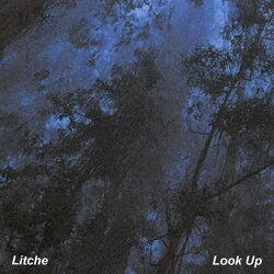 Picture of Litche