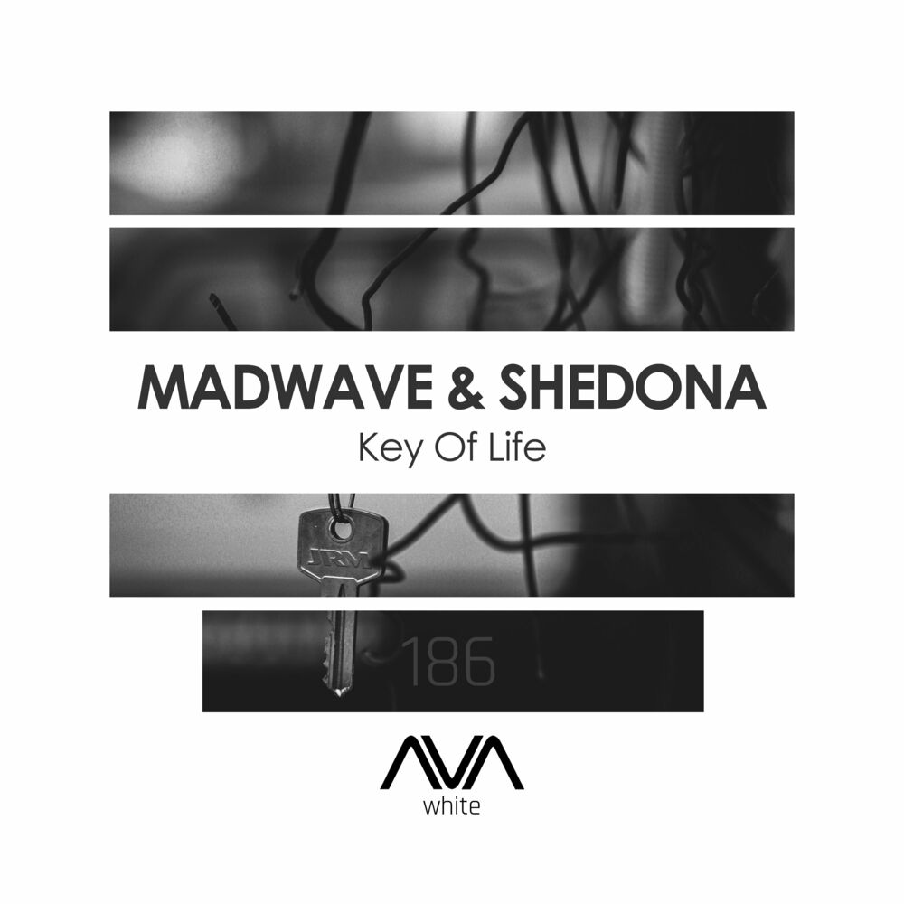 Picture of Madwave