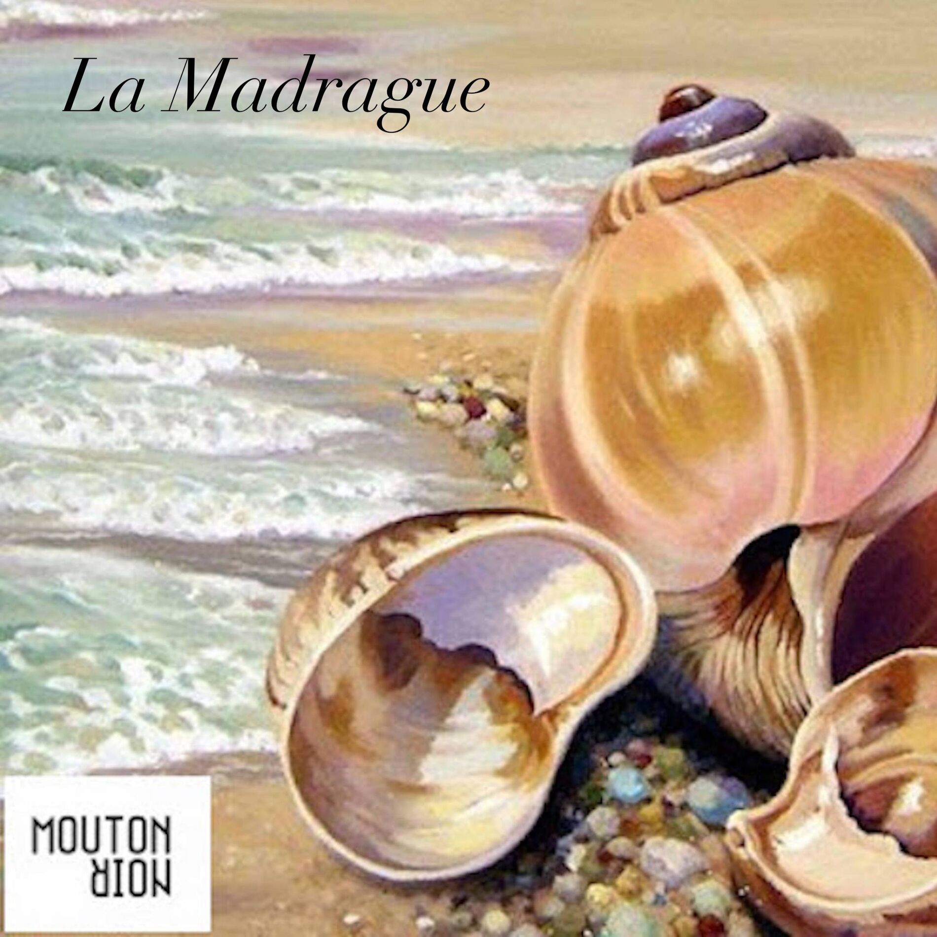 Mouton Noir