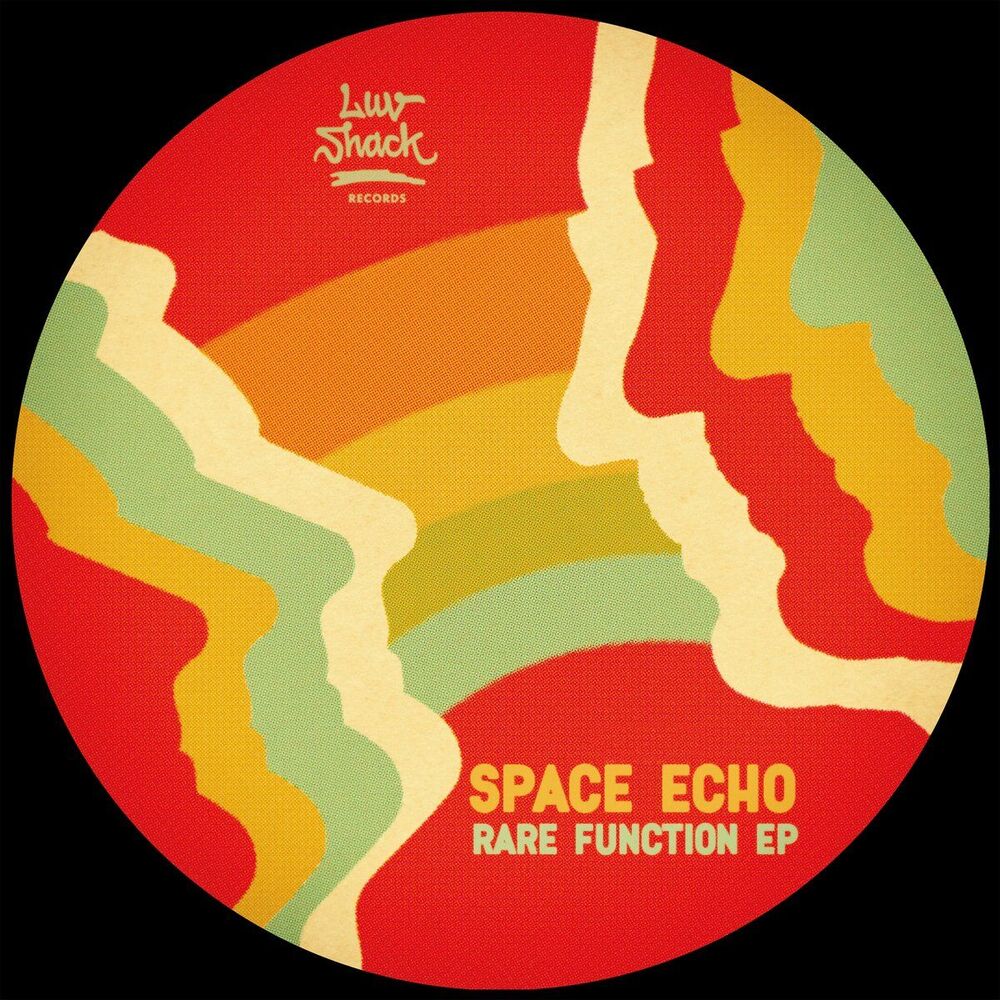 Picture of Space Echo
