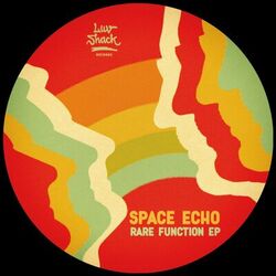 Picture of Space Echo