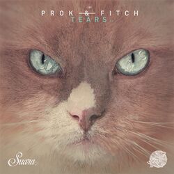 Picture of Prok & Fitch