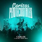 Carlos Y Los Del Monte Sinai