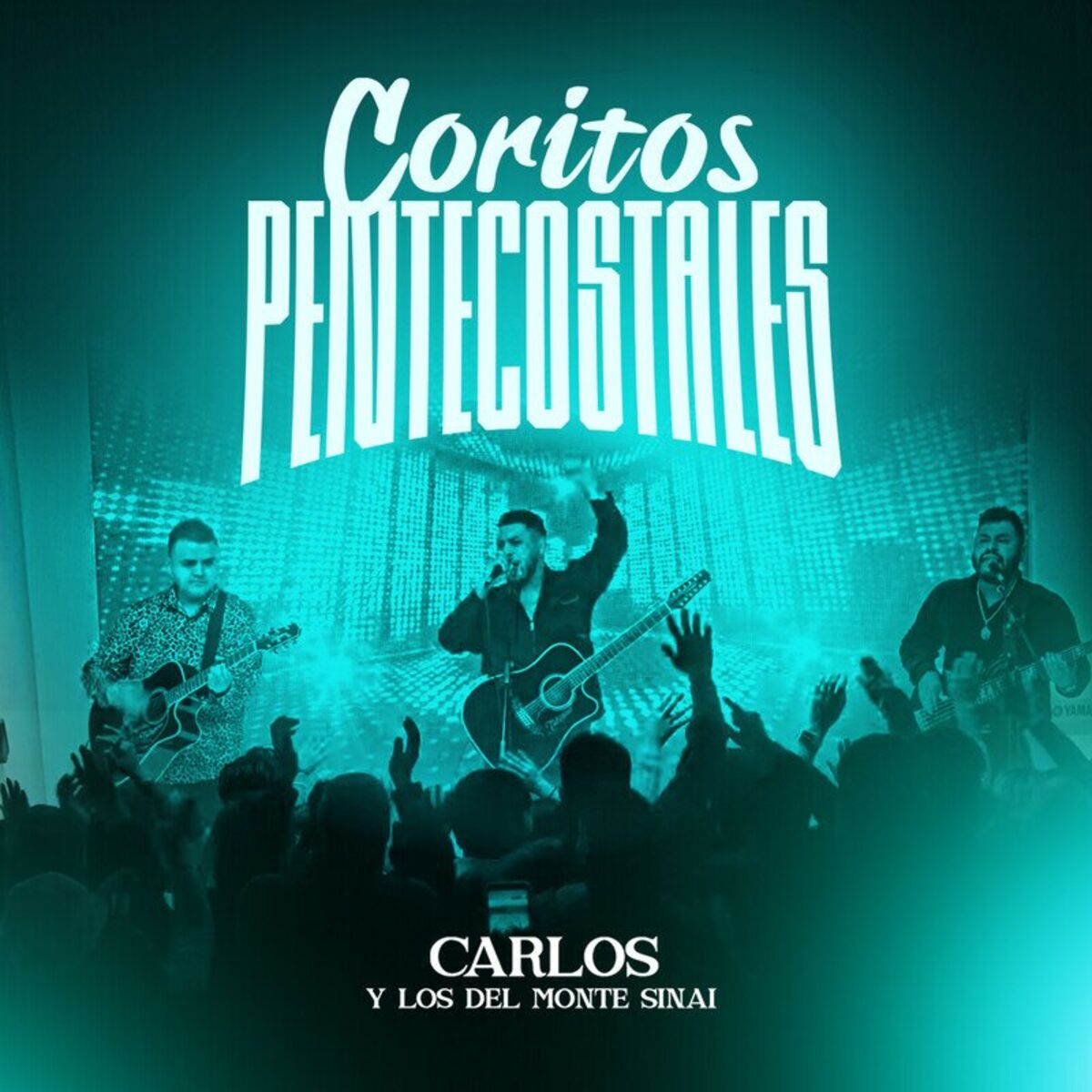 Carlos Y Los Del Monte Sinai