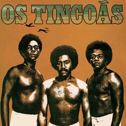 Picture of Os Tincoas