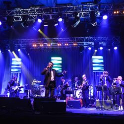 Picture of The Bryan Ferry Orchestra