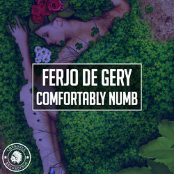 Picture of Ferjo De Gery