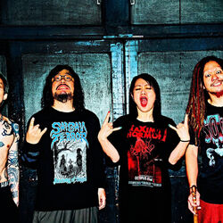 Picture of Maximum The Hormone