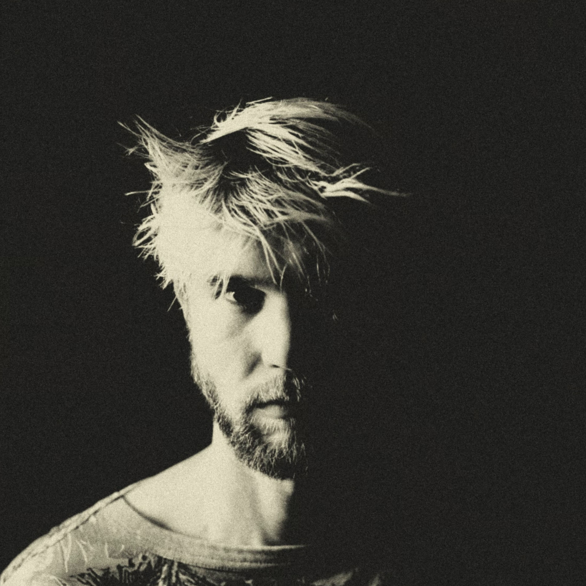 Artist picture of MOONLGHT