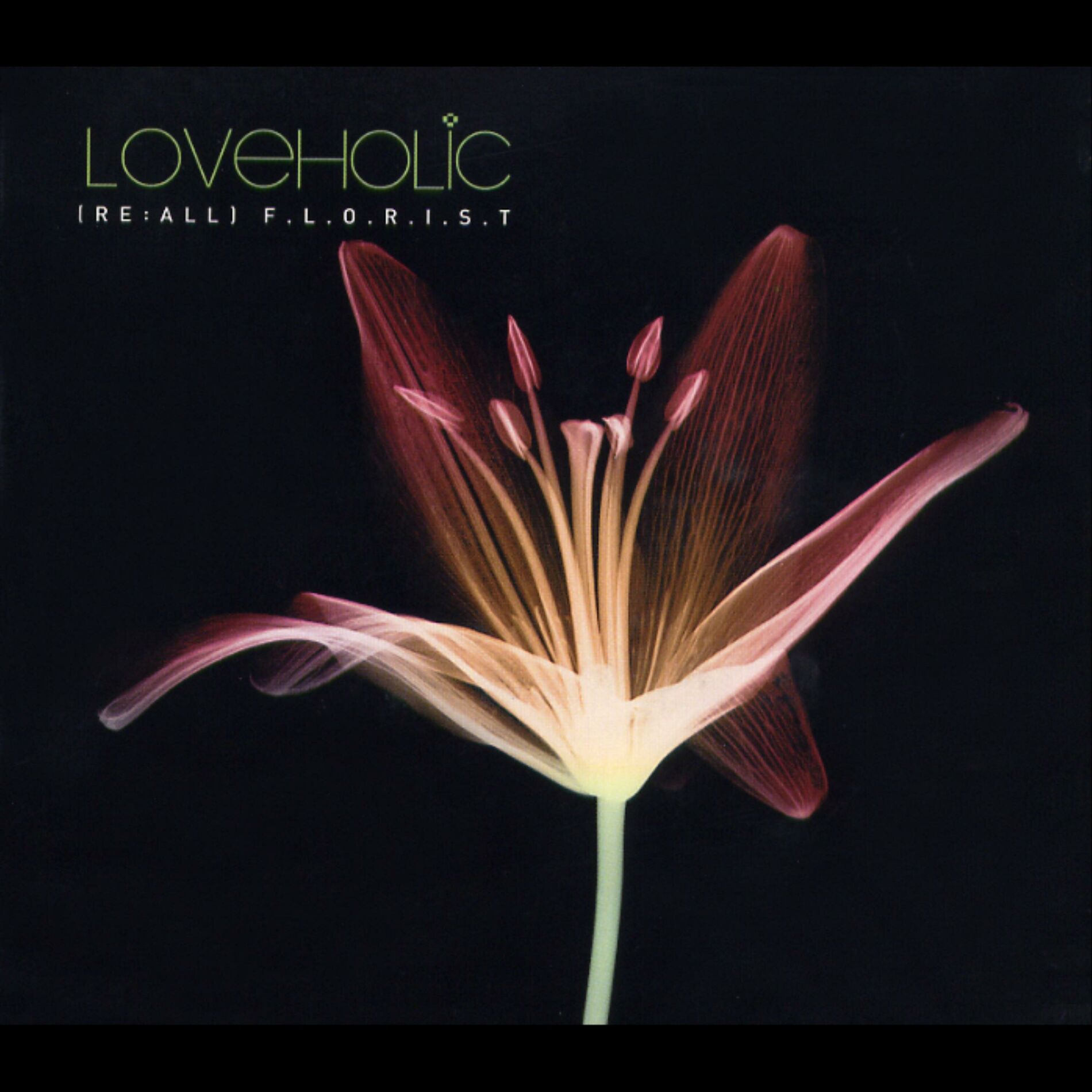 Loveholic: albums, songs, concerts | Deezer