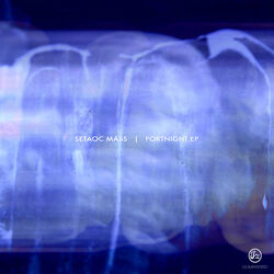 Picture of Setaoc Mass