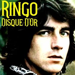 Picture of Ringo