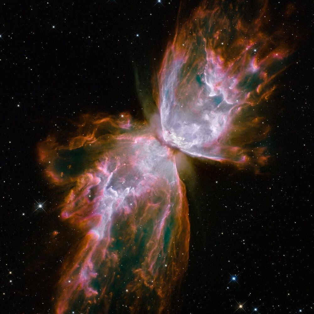 Picture of Whyceg