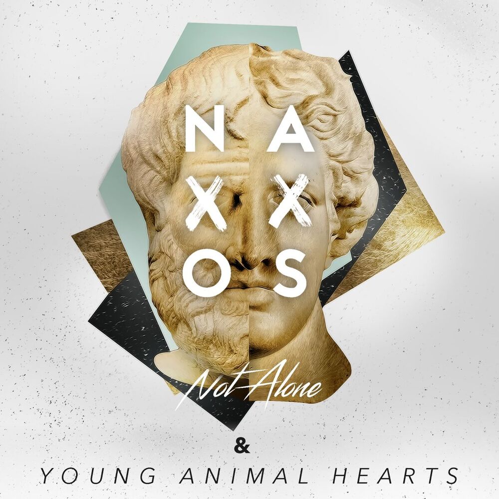 Picture of Young Animal Hearts