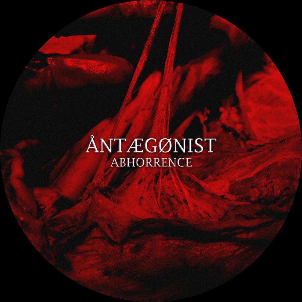 Picture of ÅNTÆGØNIST