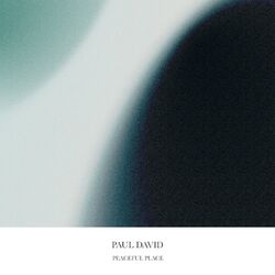 Picture of Paul David