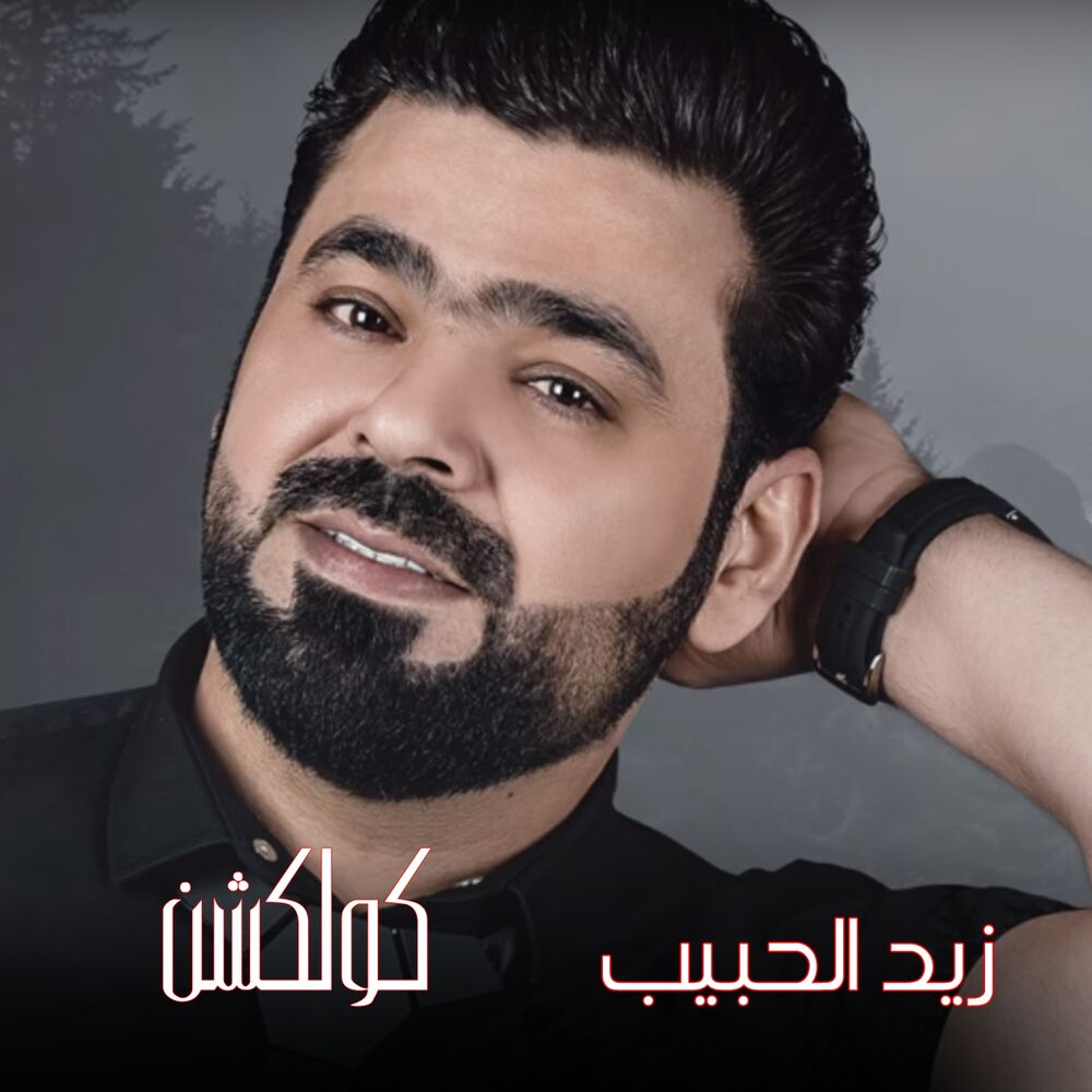 Picture of Zied Alhabeb