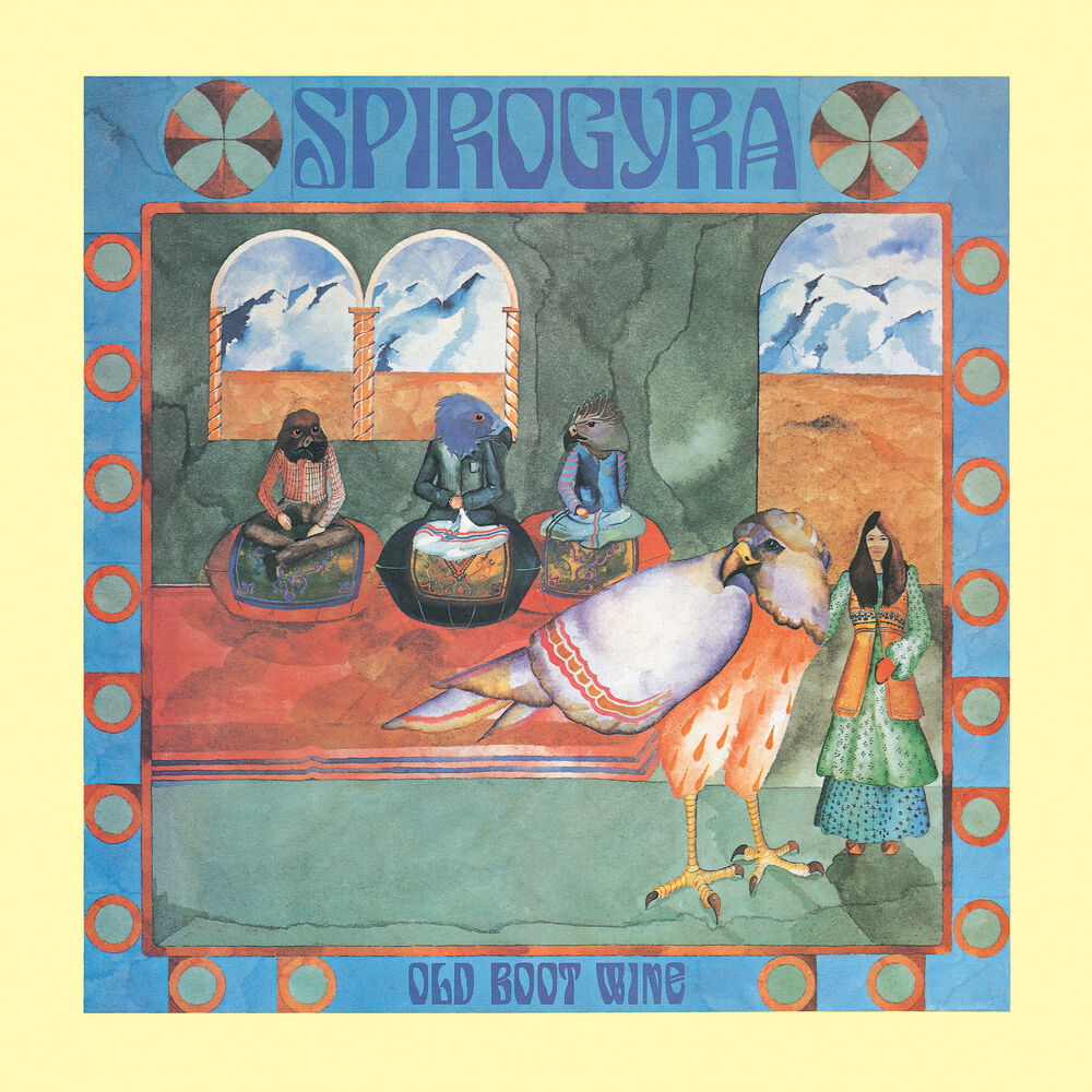 Picture of Spirogyra