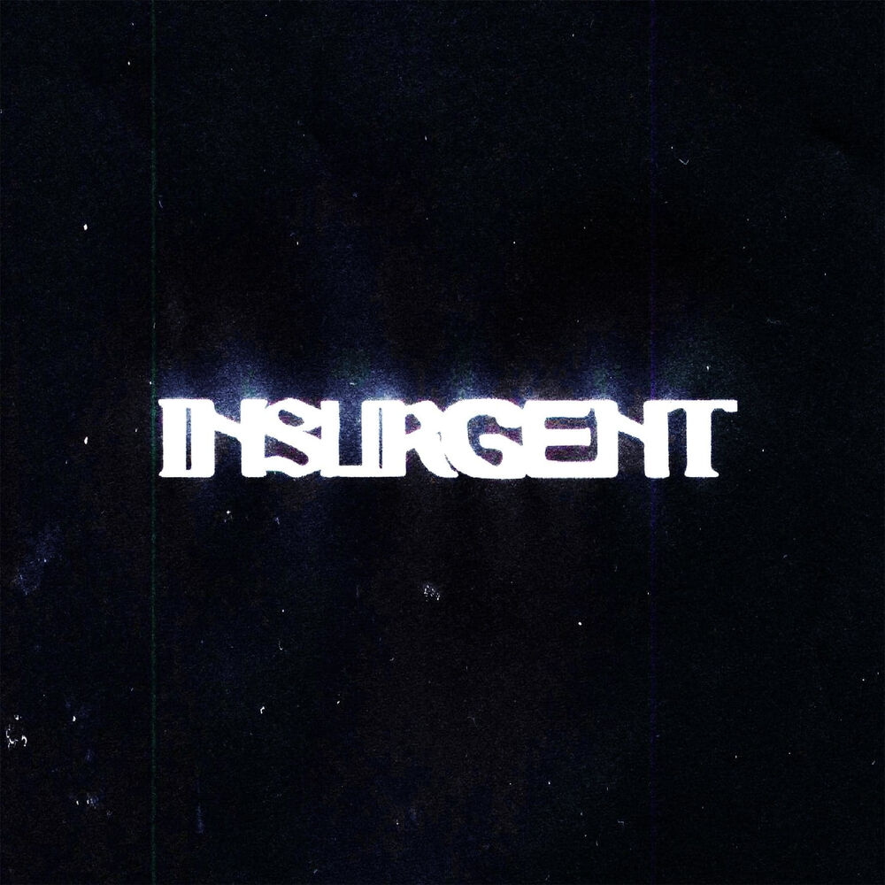 Picture of Insurgent