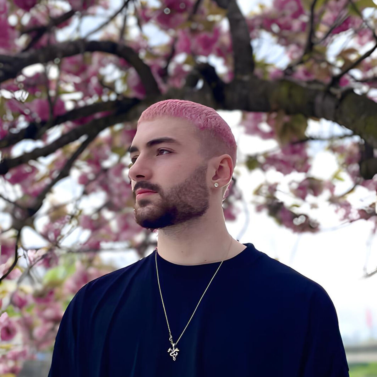 Artist picture of nosmoke155