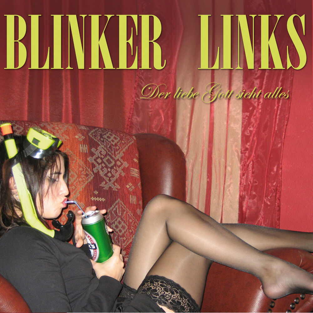 Picture of Blinker Links