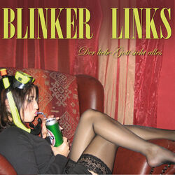 Picture of Blinker Links
