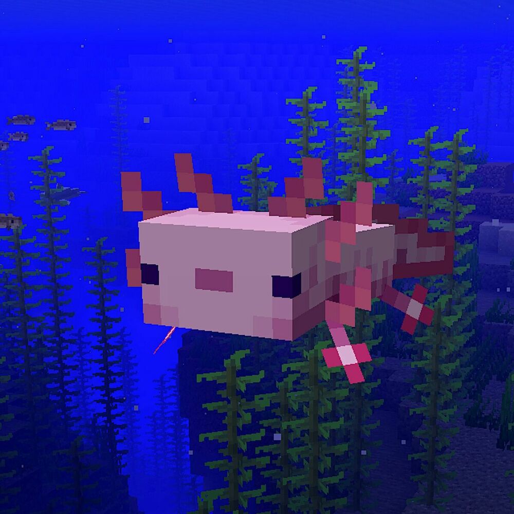 Picture of Grandayy