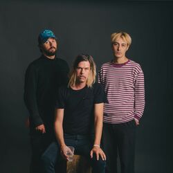 Picture of Liars