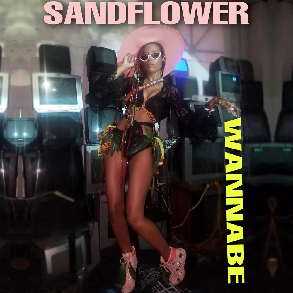 Picture of Sandflower