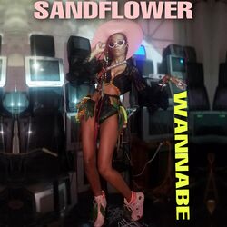Picture of Sandflower