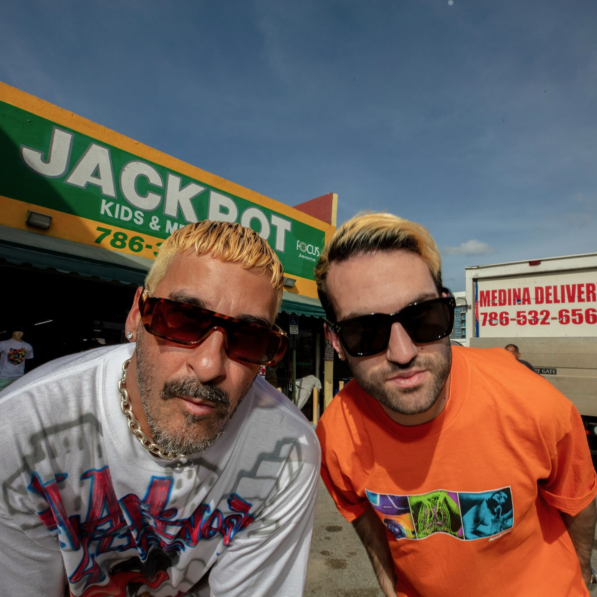 Artist picture of Duck Sauce