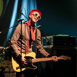 Picture of The Toy Dolls