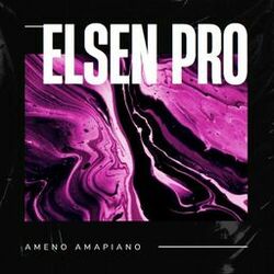 Picture of Elsen Pro