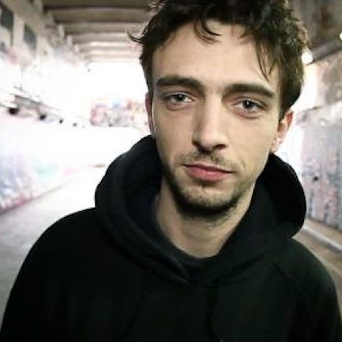 Artist picture of Leaf Dog