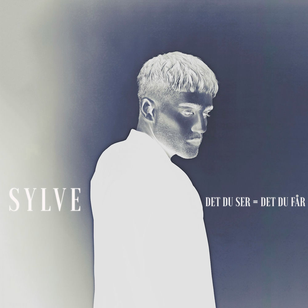 Photo de l'artiste Sylve