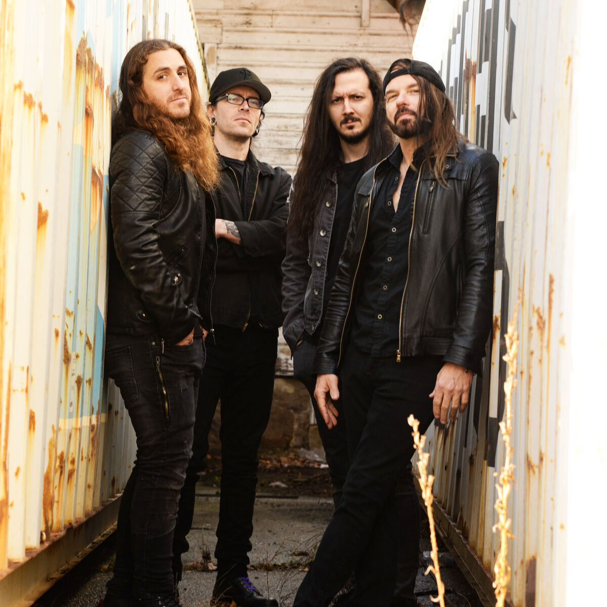 Artist picture of Silvertung