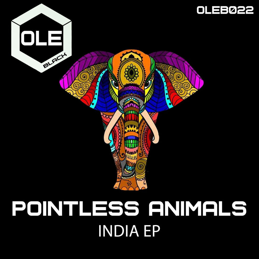 Picture of Pointless Animals