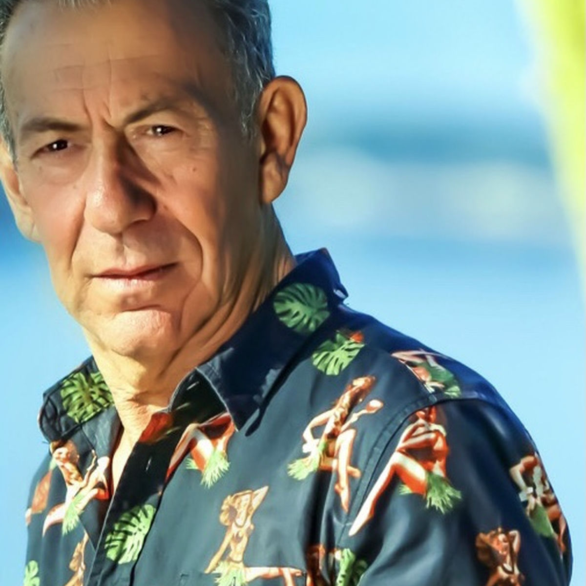 Artist picture of François Feldman