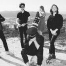 Yukon Blonde